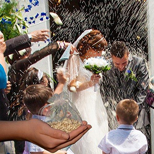 Wedding Favor - 100 Bird Wedding Favor Bags Filled with Birdseed to Shower the Bride and Groom - Fun Tradition