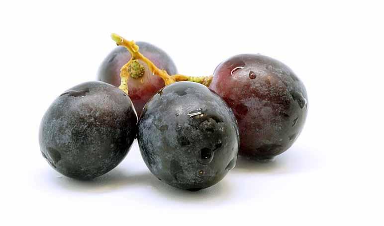 Los mejores alimentos para tener una piel bonita - Trucos de belleza caseros