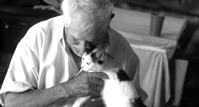 cuidados-especiales-del-gato-en-la-vejez-o-gato-anciano
