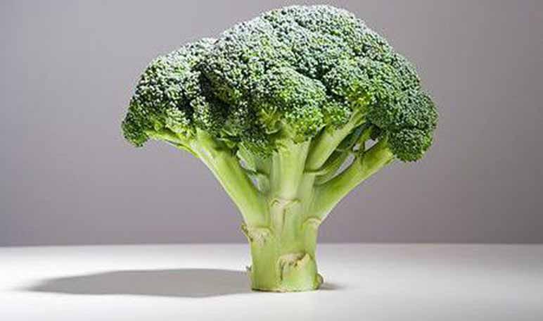 Cómo desintoxicar el cuerpo con brócoli - Trucos de salud caseros