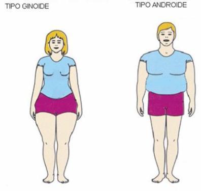 grasa-corporal-obesidad-ginoide-androide