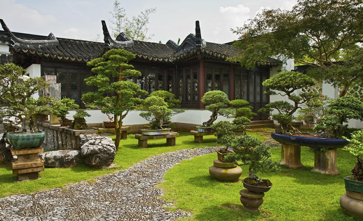 Garden a bonsai, Singapore