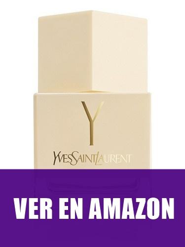 La Collection Y de Yves Saint Laurent