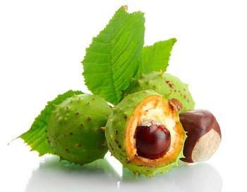 castano-de-indias para las hemorroides