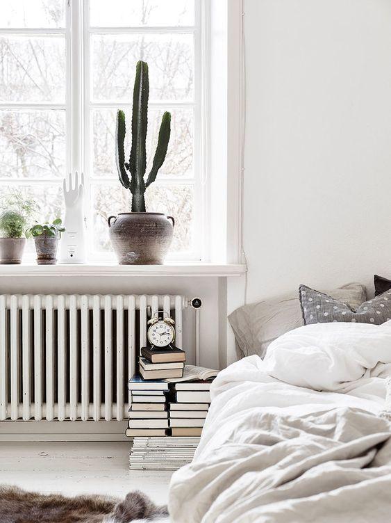 decoración nórdica con cactus