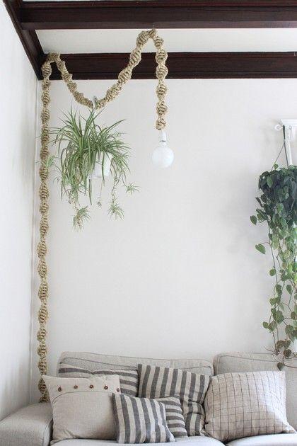 decoración nórdica plantas con poca luz