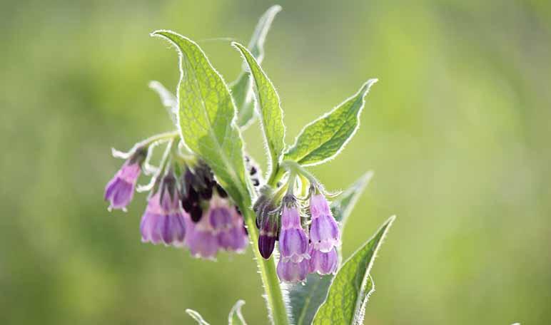 Cómo eliminar los granitos de los brazos en dos pasos - Trucos de belleza caseros