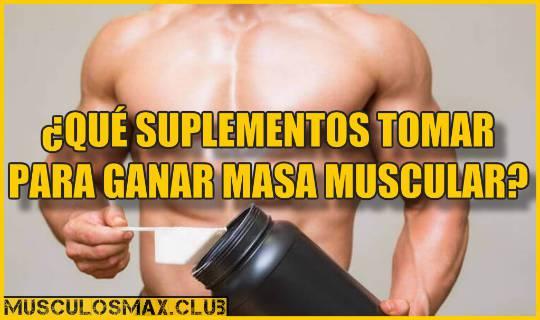 ¿Qué suplementos tomar para ganar masa muscular en poco tiempo?