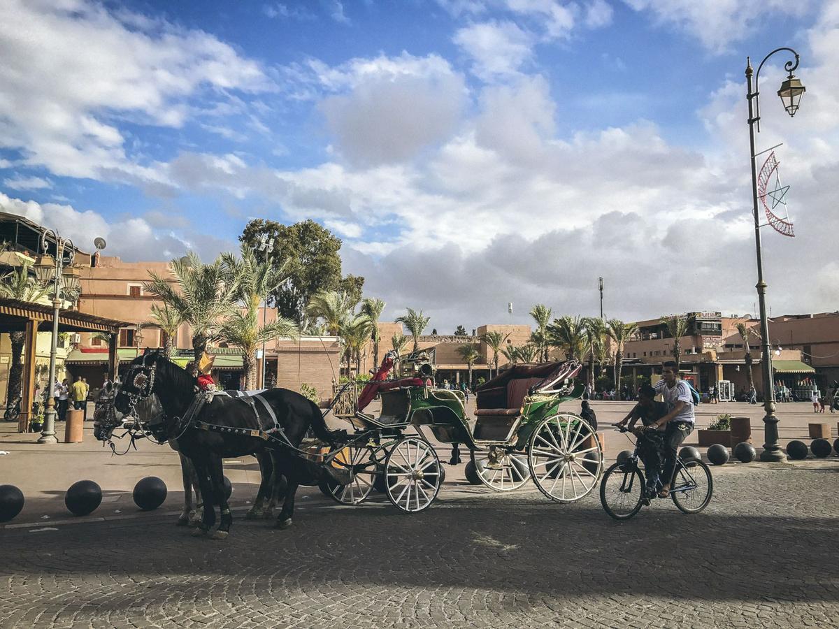 En calesa al Palmeral de Marrakech (Marruecos)