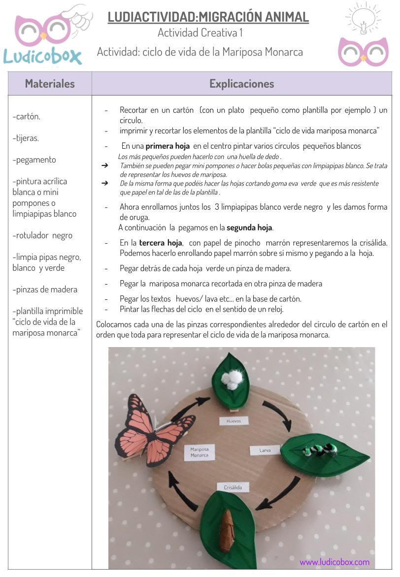 Migración animal: como explicarla a los niños