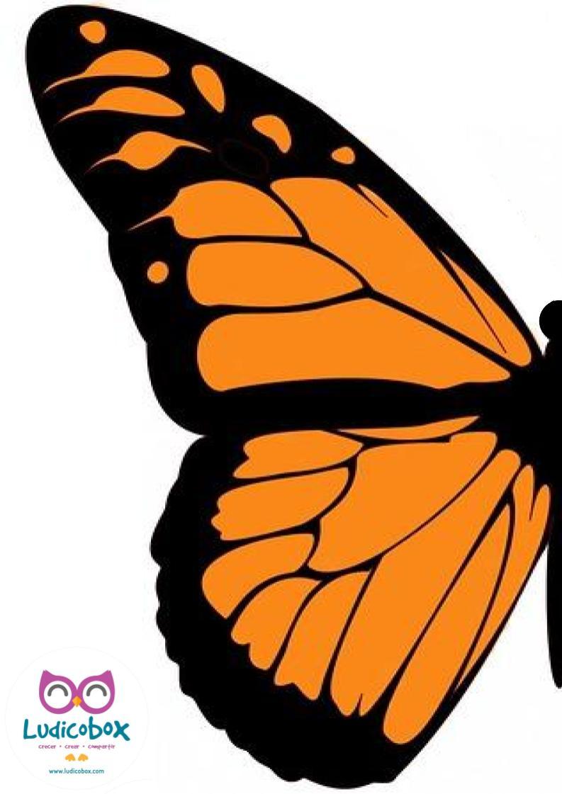 Migración animal: como explicarla a los niños