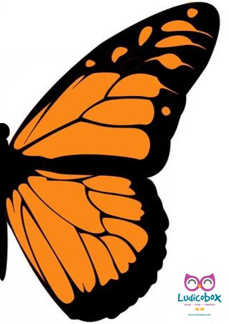 Migración animal: como explicarla a los niños