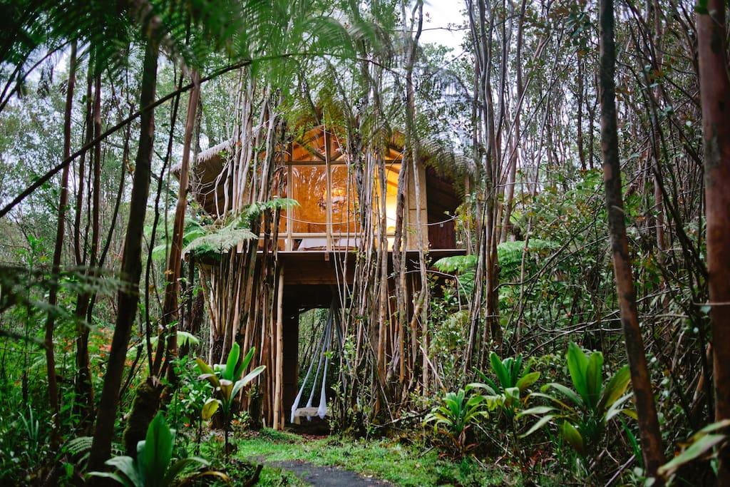 casas en la naturaleza - Cabaña tropical en Hawaii - cabaña de lujo en plena selva