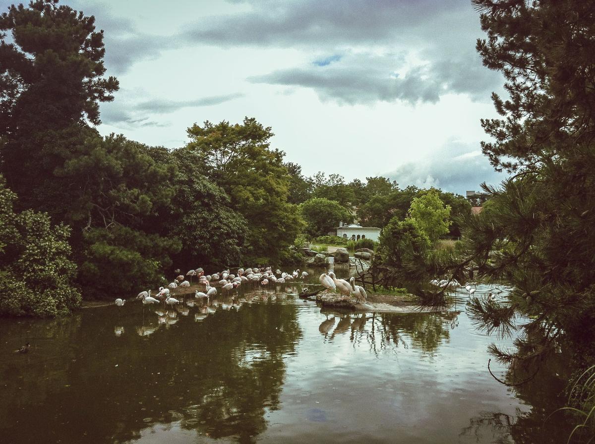 Parque de la Tête dOr en Lyon