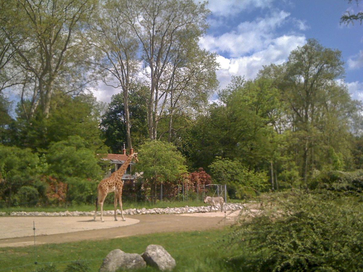 Zoológico del Parque de la Tête dOr en Lyon.