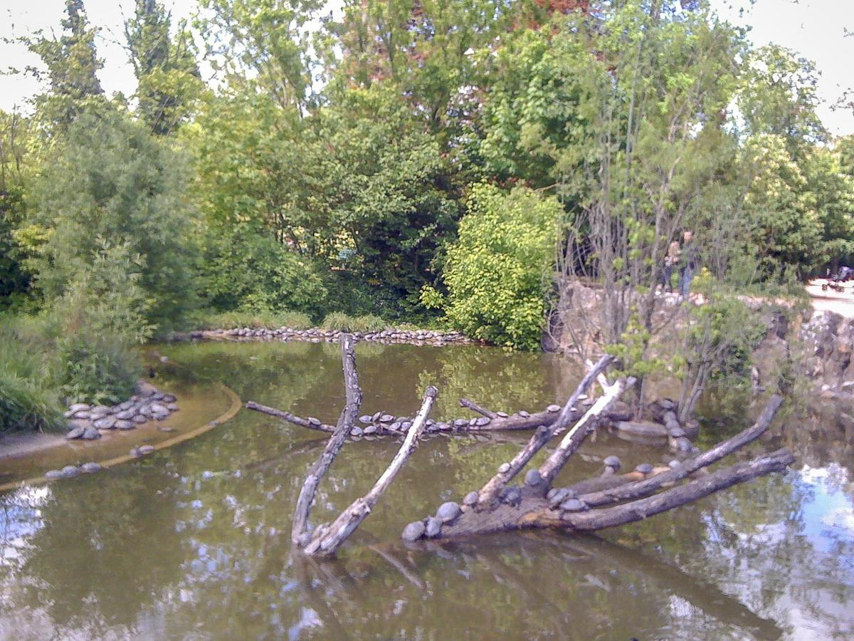 Zoológico del Parque de la Tête dOr en Lyon.
