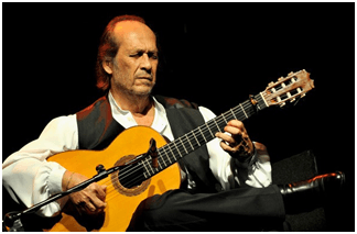 Guitarra flamenca