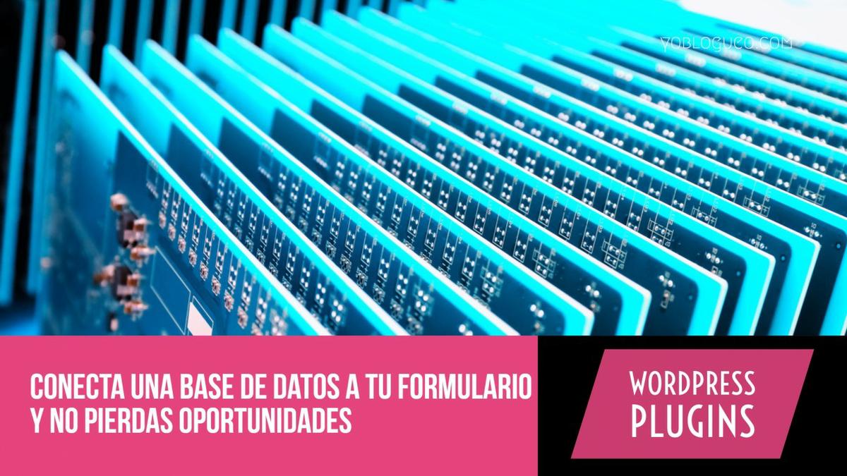 como conectar un formulario d contacto con una base de datos