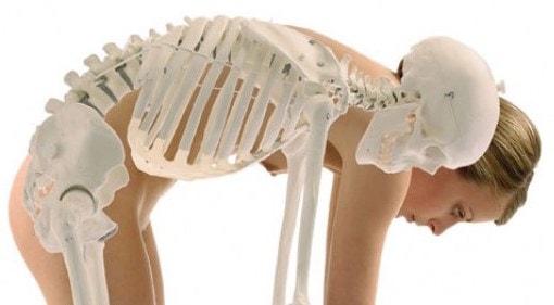 Acción muscular en kinesiología de la columna vertebral