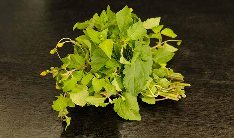 Agua de berros para perder peso - Apréndete