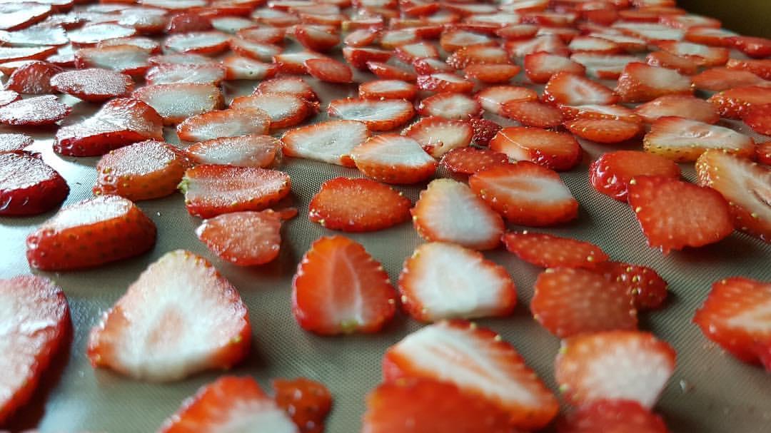 deshidratar fresas.jpg