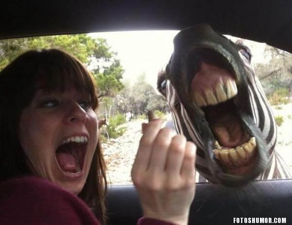 Selfies que no tienen perdón de Dios (3)