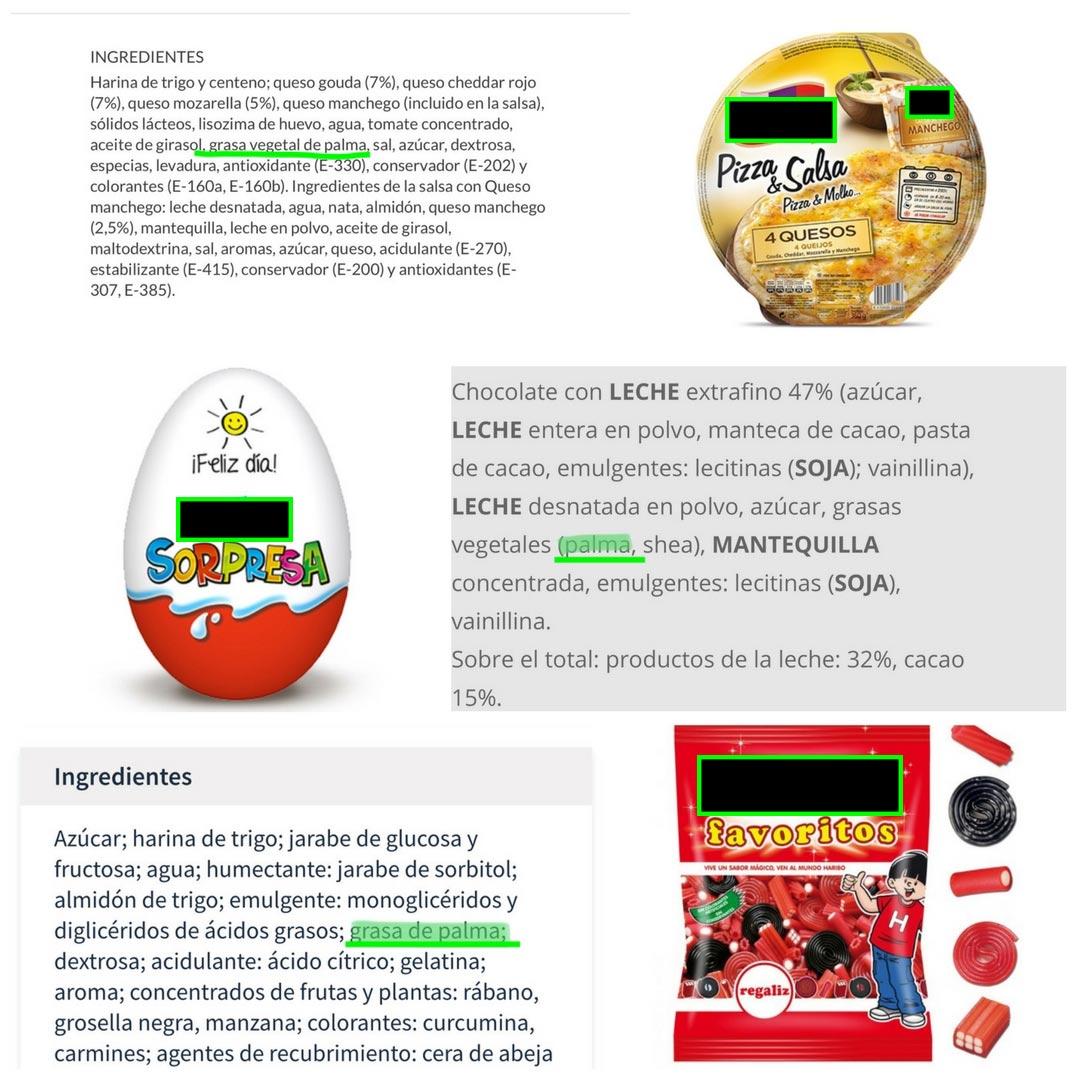 ingredientes_palma_3