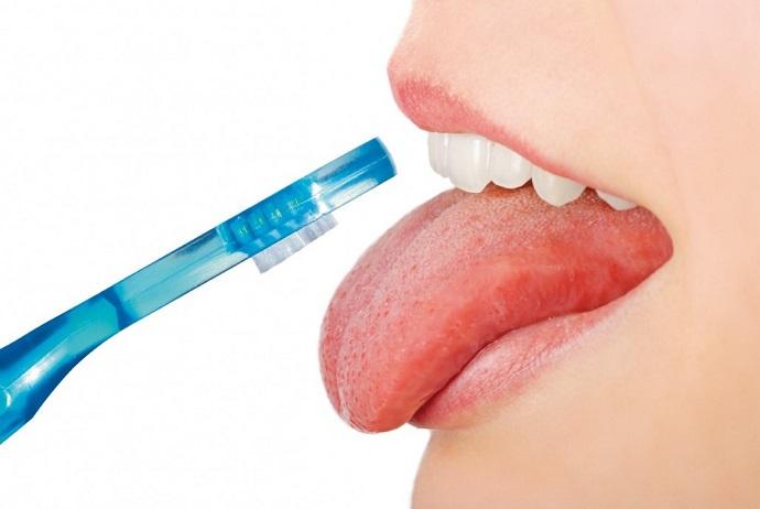 partes de la lengua