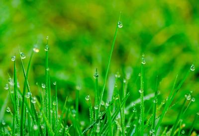 Una forma fácil y diferente de poner las patatas | Cocina