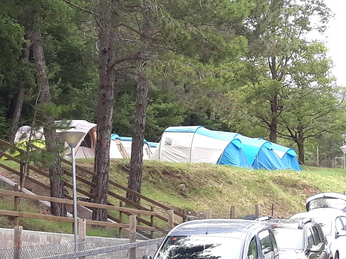 campamento de verano