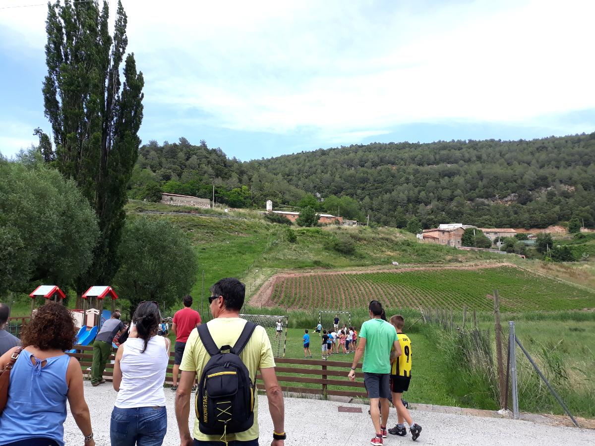 campamento de verano