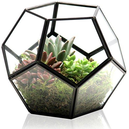 KIBAGA Geometric Terrarium - Modern Indoor Plant Terrarium with 2x Free Tealight Candles - Elegant DIY Glass Terrarium Home for Succulents and other Plants