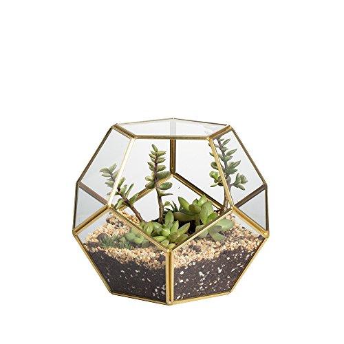 NCYP Brass Glass Pentagon Regular Dodecahedron Geometric Terrarium Container Desktop Planter for Succulent Fern Moss Air Plants Holder Miniature Outdoor Fairy Garden Gift