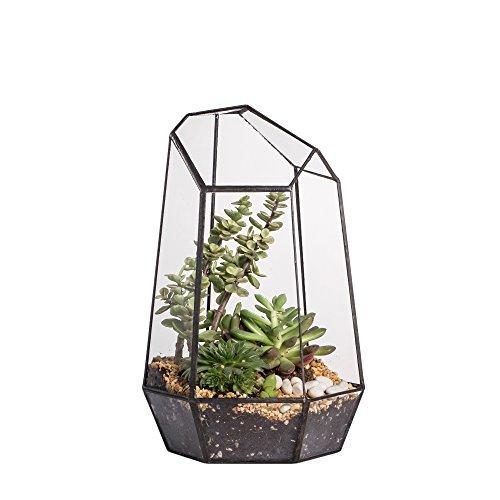 9.8inches Height Indoor Tabletop Irregular Glass Geometric Air Plants Terrarium Box Desktop Display Planter Succulent Holder Flower Pot for Fern Moss Diy