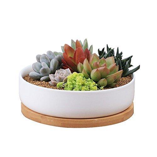 6 Inch Modern White Ceramic Round Succulent Cactus Planter Pot with Drainage Bamboo Tray,Decorative Garden Flower Holder Bowl
