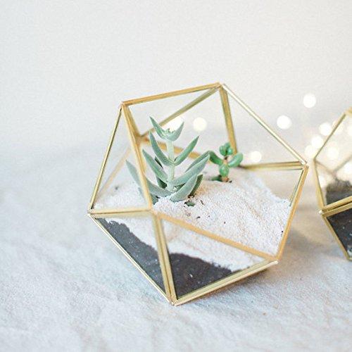 Bellas garden Geometric Copper Terrarium Container Desktop Planter for Succulent Fern Moss Air Plants Holder Miniature Outdoor Fairy Garden Gift Wedding Decor Box (small, gold)