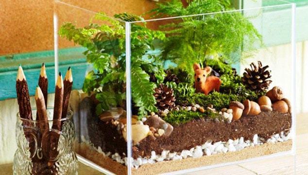 Pecera Terrario