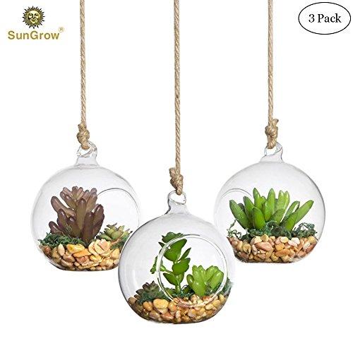 SunGrow 3 Hanging Glass Terrariums by Spherical Air Plant Orb - Handmade, heat-resistant glass - Create refreshing atmosphere in Terrace Garden - Rocks, plants & other accessories NOT included