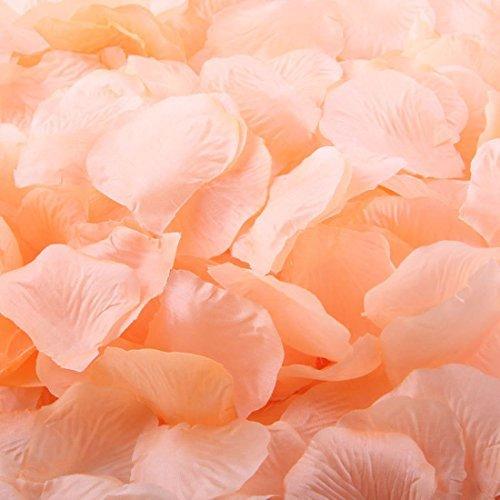 Pack of 1000 Silk Rose Petals, Artificial Flowers for Decoration Wedding Party (Peach)