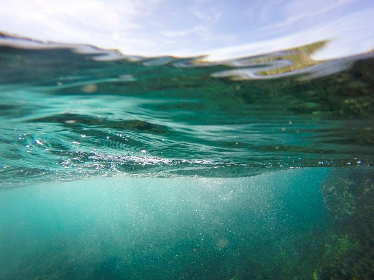 beach-clear-green-735621