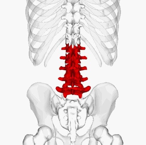 Esta estructura ósea de la columna, generalmente tiene 5 vértebras