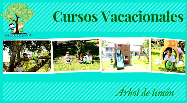 cursos vacacionales