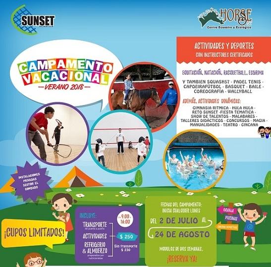 cursos vacacionales 2018