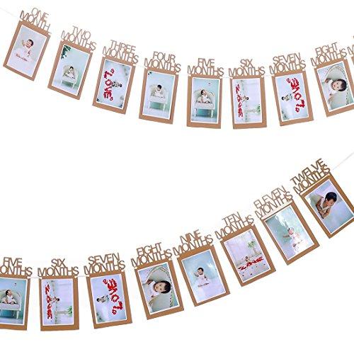 ZOOP 1st Birthday Bunting Garland Banner Baby Growth Record 1-12 Month Photo Prop Party Bunting Decor