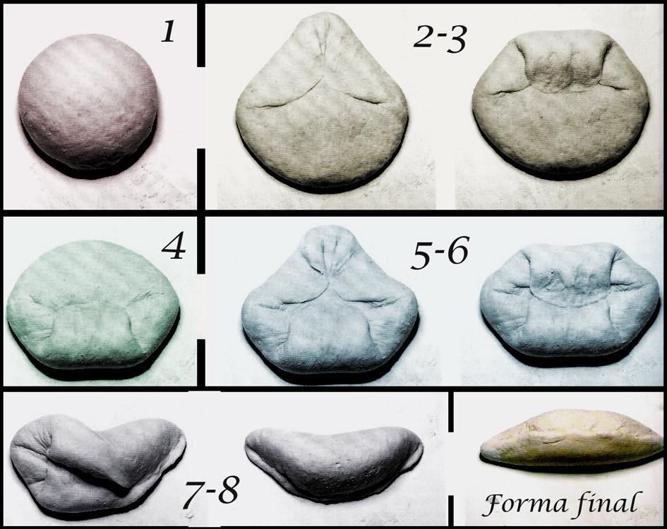 Resultado de imagen para imagenes de pan de batard