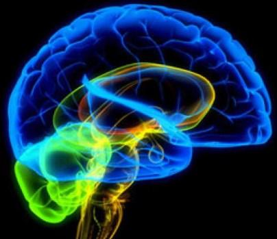 La malformación de Chiari tiene una variedad de causas diferentes