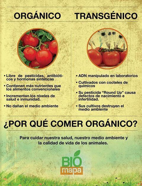 Alimentos bio ecológicos orgánicos