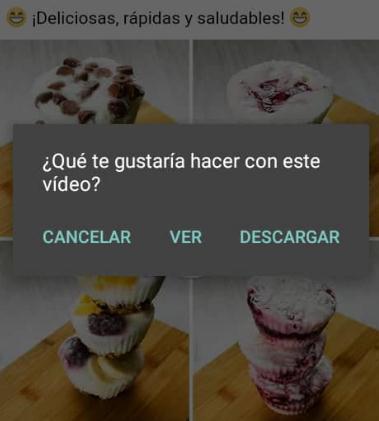 Descargar Video
