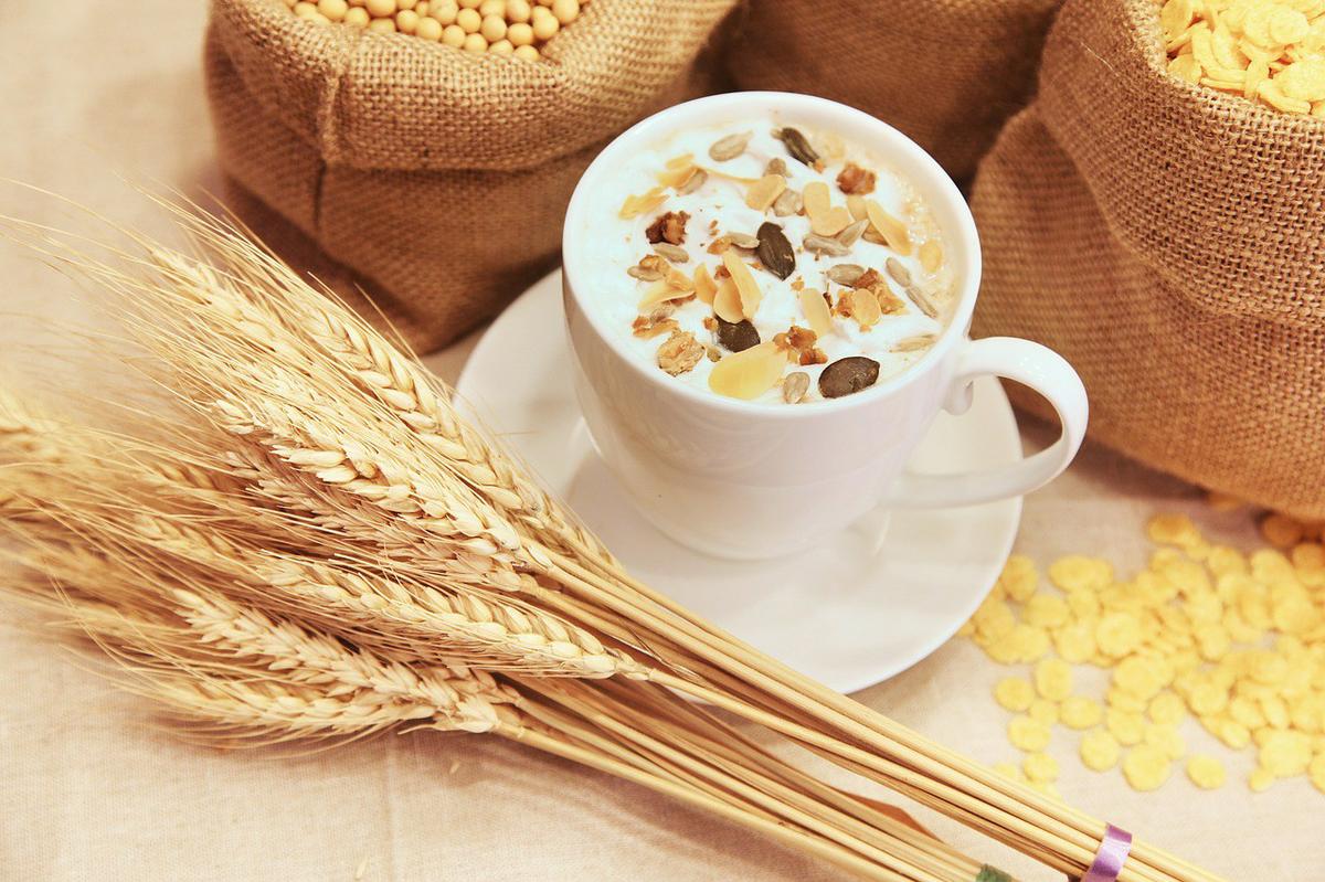 avena para una dieta saciane