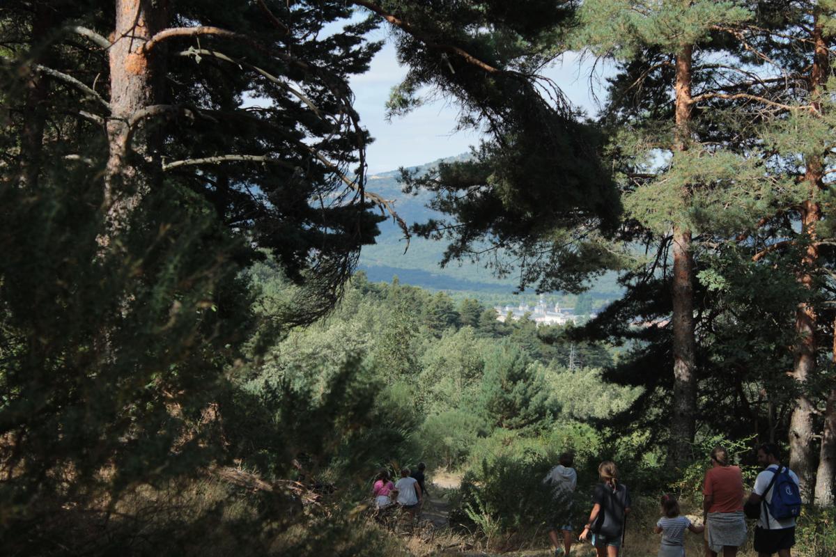 Excursion_al_chorro_17